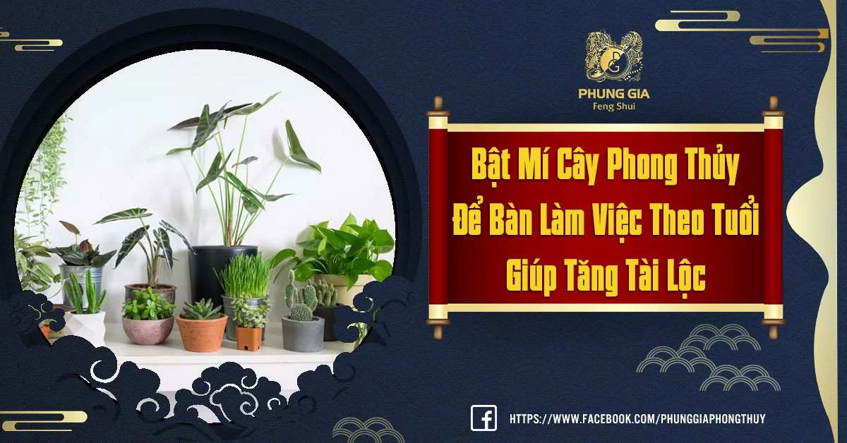 Cây Phong Thủy Để Bàn Làm Việc Theo Tuổi Giúp Các Con Giáp Tăng Tài Lộc