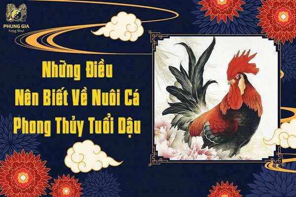 Những Điều Nên Biết Về Nuôi Cá Cảnh Phong Thủy Tuổi Dậu