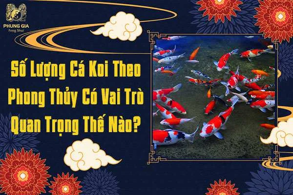 Số Lượng Cá Koi Theo Phong Thủy Có Vai Trò Quan Trọng Thế Nào