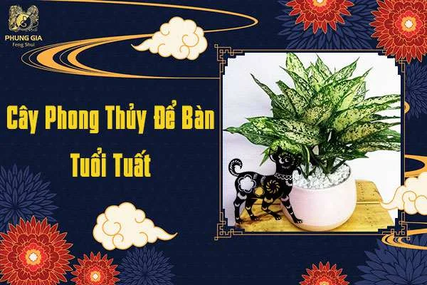 Cây Phong Thủy Tuổi Tuất