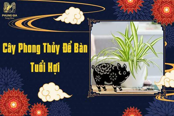 Cây Phong Thủy Tuổi Hợi