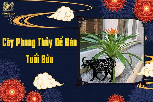 Cây Phong Thủy Để Bàn Tuổi Sửu