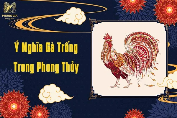 Ý Nghĩa Gà Trong Phong Thủy