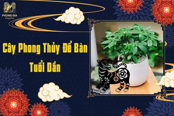 Cây Để Bàn Phong Thủy Tuổi Dần