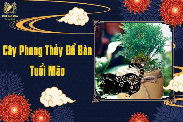 Cây Phong Thủy Để Bàn Tuổi Mão
