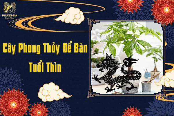 Cây Phong Thủy Để Bàn Tuổi Thìn