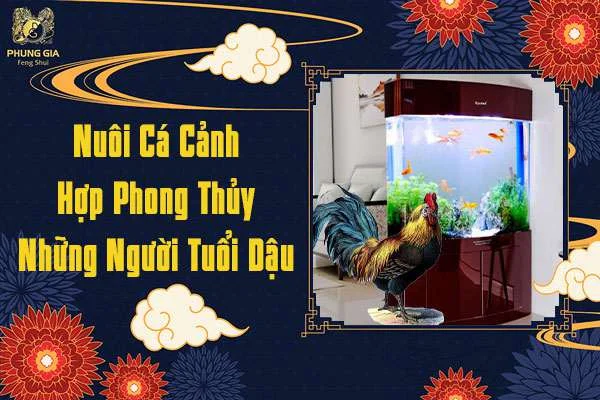 Nuôi Cá Cảnh Hợp Phong Thủy Tuổi Dậu