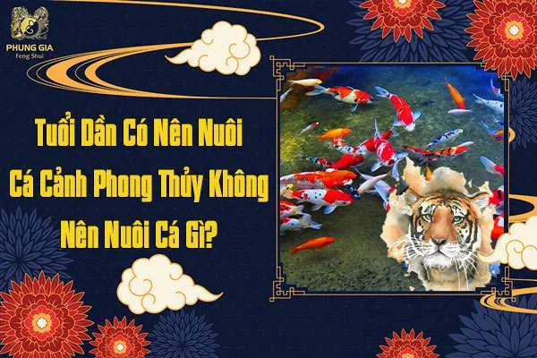 Tuổi Dần Có Nên Nuôi Cá Cảnh Phong Thủy Không Nên Nuôi Cá Gì
