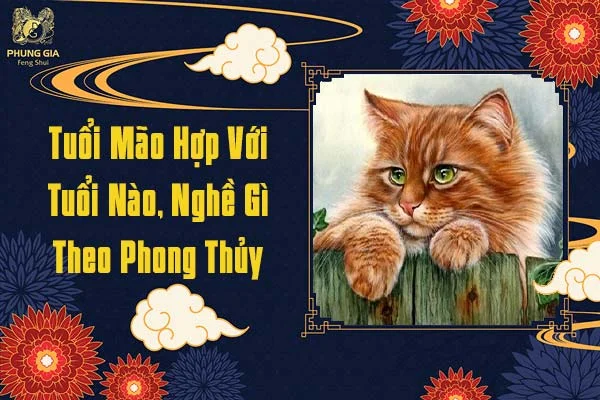 Tuổi Mão Hợp Với Nghề Gì Theo Phong Thủy
