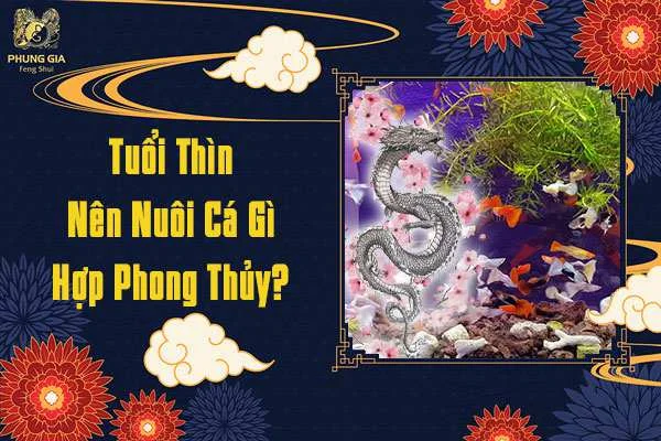 Tuổi Thìn Nên Nuôi Cá Phong Thủy Nào