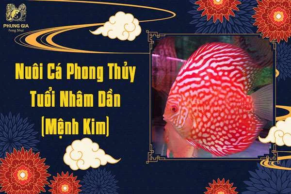 Nuôi Cá Phong Thủy Tuổi Nhâm Dần