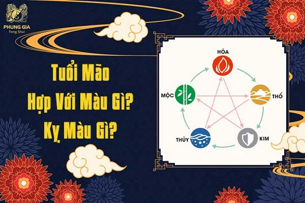 Tuổi Mão Hợp Màu Gì Kỵ Màu Gì