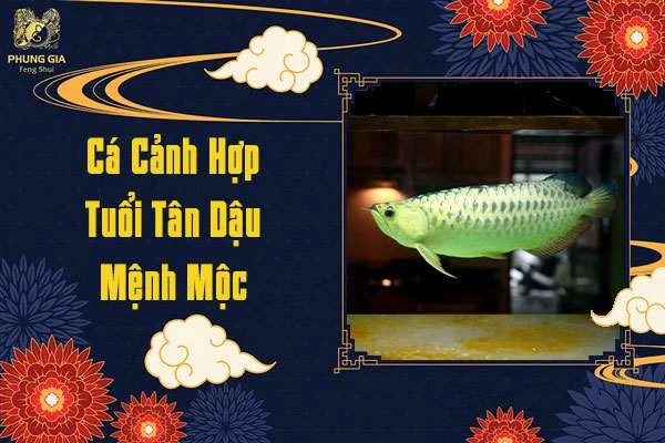Cá Cảnh Hợp Tuổi Tân Dậu