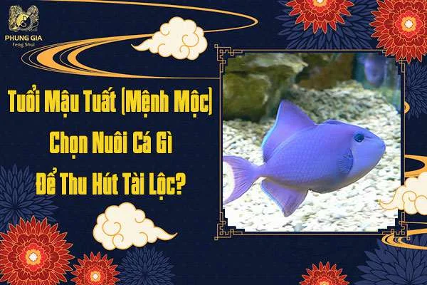 Tuổi Mậu Tuất Mệnh Mộc Nên Chọn Cá Gì