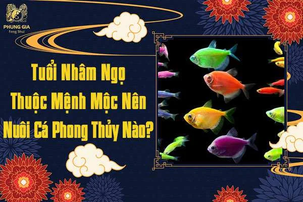 Tuổi Nhâm Ngọ Nuôi Cá Mệnh Gì