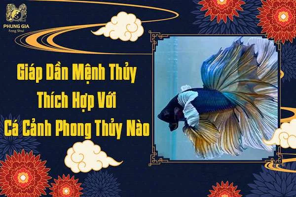 Tuổi Giáp Dần Mệnh Thủy Thích Hợp Nuôi Cá Gì