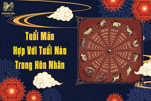 Tuổi Mão Hợp Với Tuổi Nào Trong Hôn Nhân