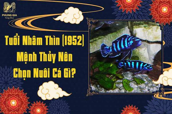 Nhâm Thìn Nuôi Cá Gì