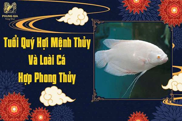 Tuổi Quý Hợi Mệnh Thủy Nuôi Cá Phong Thủy Nào