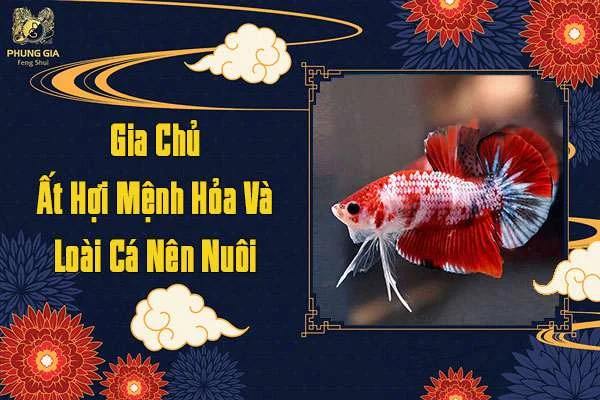 Gia Chủ Ất Hợi Mệnh Hỏa Nên Nuôi Cá Gì
