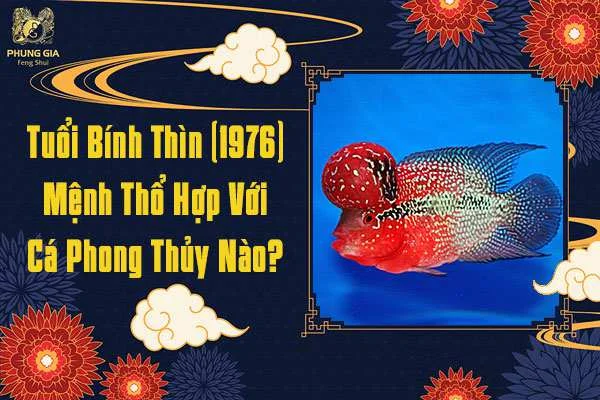 Tuổi Bính Thìn Hợp Nuôi Cá Gì
