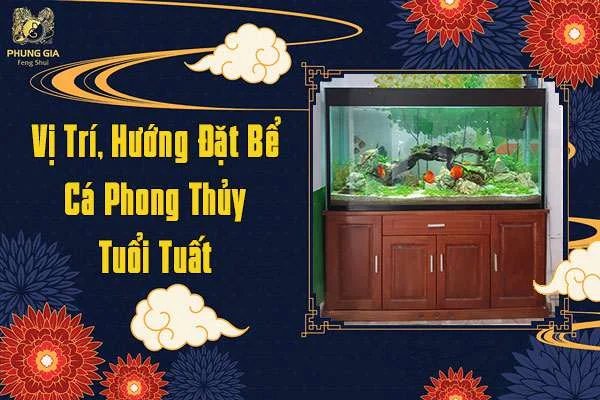 Vị Trí Hướng Đặt Bể Cá Phong Thủy Tuổi Tuất