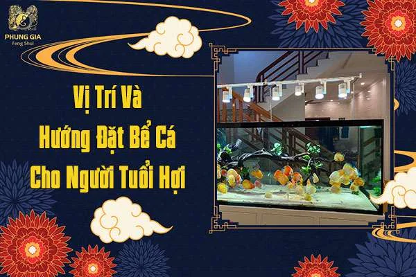 Vị Trí Và Hướng Đặt Bể Cá Cho Người Tuổi Hợi