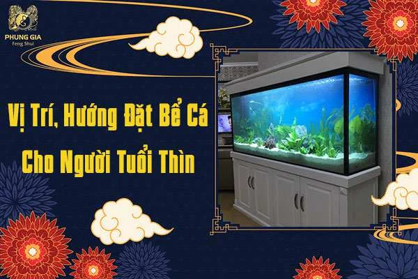 Vị Trí, Hướng Đặt Bể Cá Cho Người Tuổi Thìn
