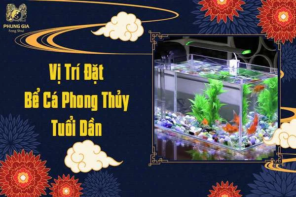 Vị Trí Đặt Bể Cá Phong Thủy Tuổi Dần