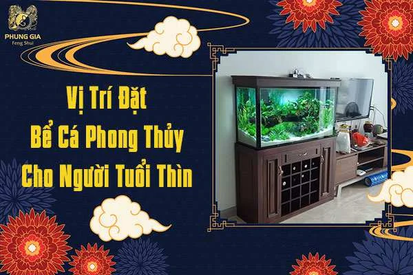 Vị Trí Đặt Bể Cá Cho Người Tuổi Thìn