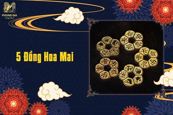 5 Đồng Tiền Hoa Mai