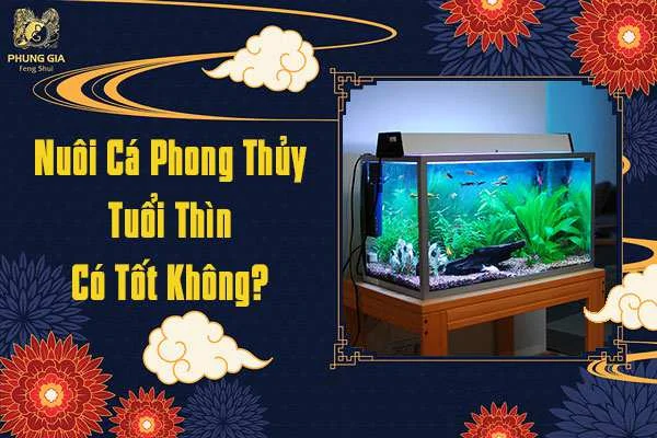 Nuôi Cá Phong Thủy Có Tốt Không