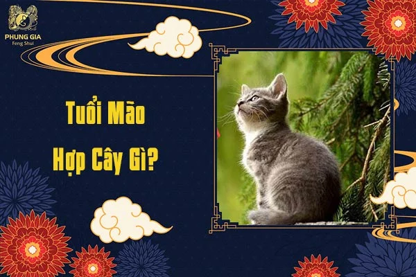 Tuổi Mão Nên Trồng Cây Gì
