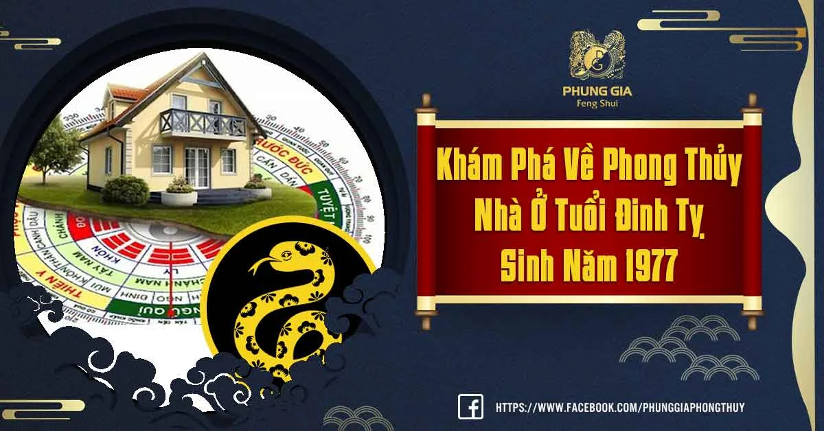 Phong Thủy Nhà Ở Tuổi Đinh Tỵ Sinh Năm 1977 Mang Lại Tài Lộc