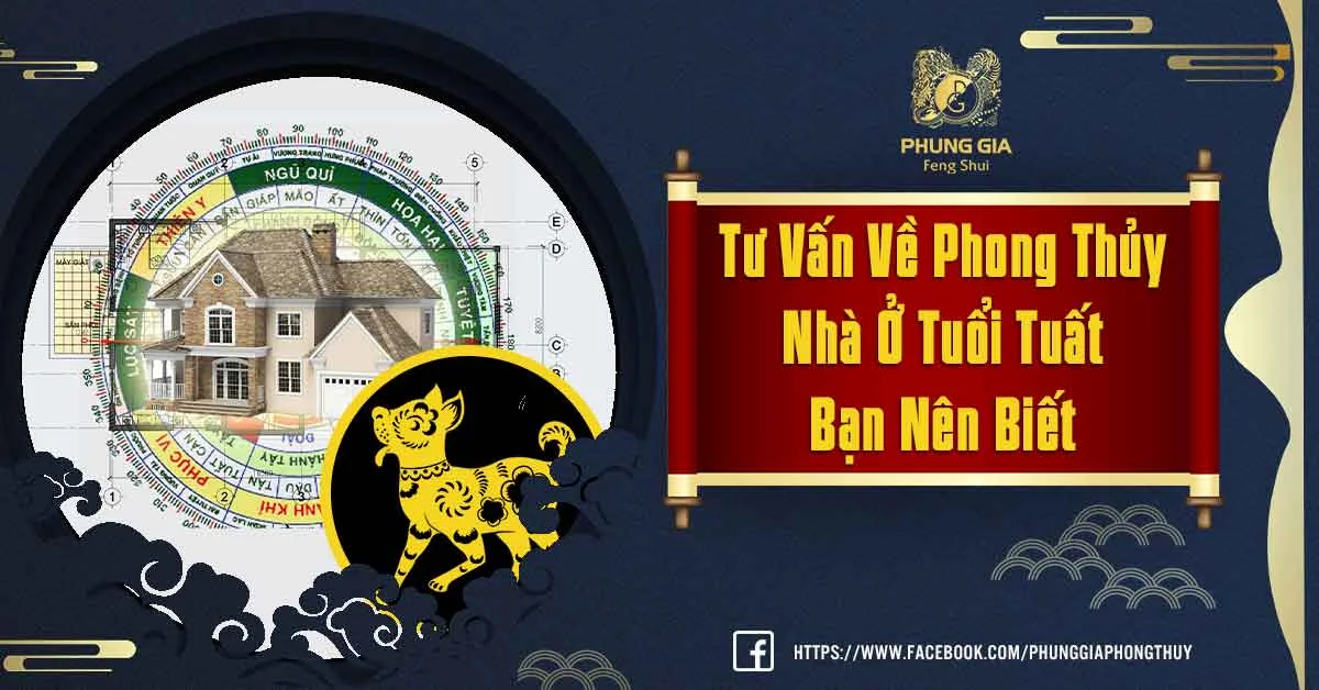 Bật Mí Về Phong Thủy Nhà Ở Tuổi Tuất Mang Lại May Mắn Và Tài Lộc