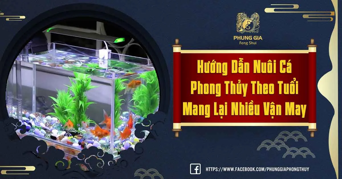 Kiến Thức Nuôi Cá Phong Thủy Theo Tuổi Mang Lại Nhiều Vận May