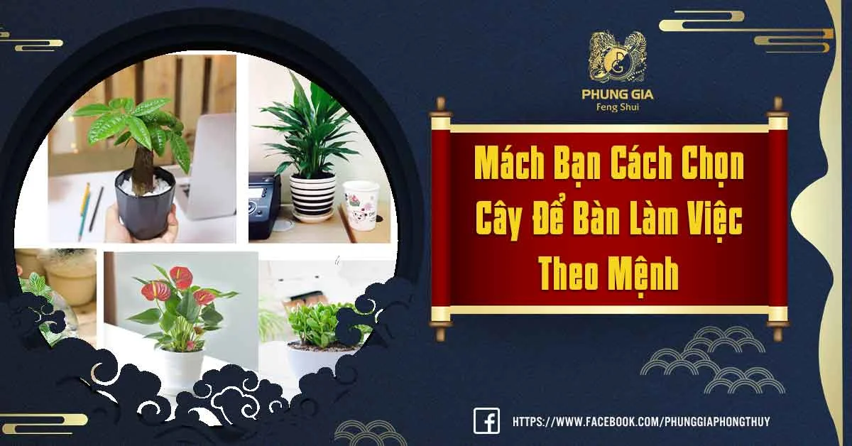May Mắn, Thành Công Trong Công Việc Nhờ Chọn Cây Để Bàn Làm Việc Theo Mệnh