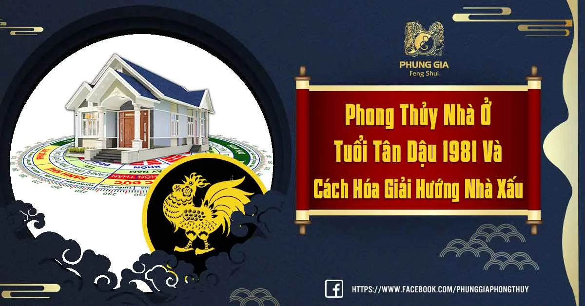 Phong Thủy Nhà Ở Tuổi Tân Dậu, Cách Chọn Hướng Nhà Hợp Phong Thủy