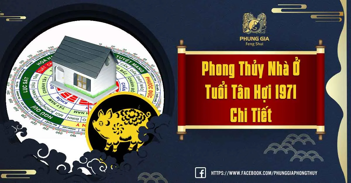 Phong Thủy Nhà Ở Tuổi Tân Hợi 1971, Năm Nào Làm Nhà Đẹp