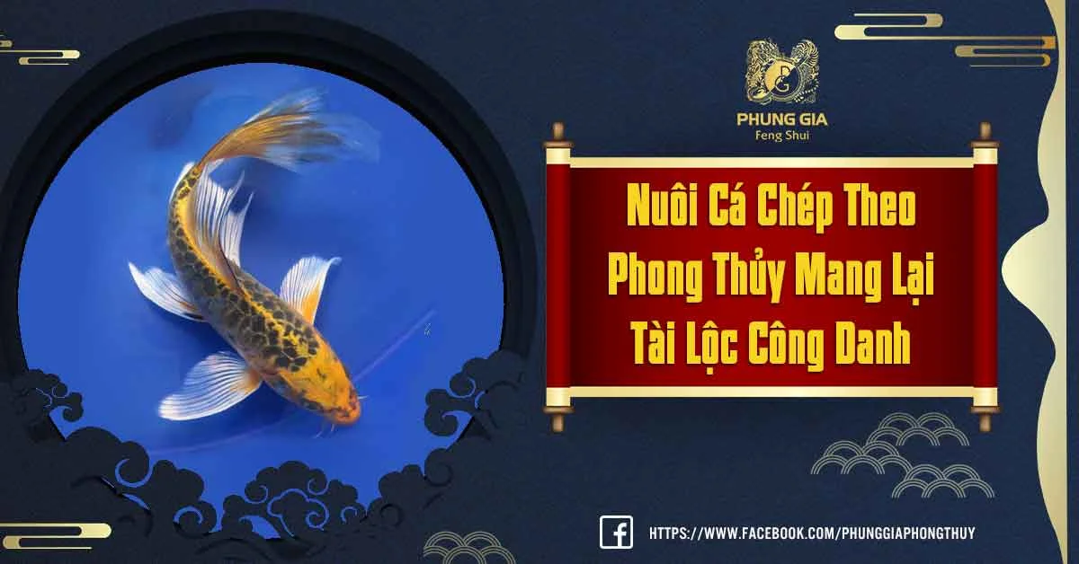 Nuôi Cá Chép Phong Thủy Hỗ Trợ Sự Nghiệp Hanh Thông
