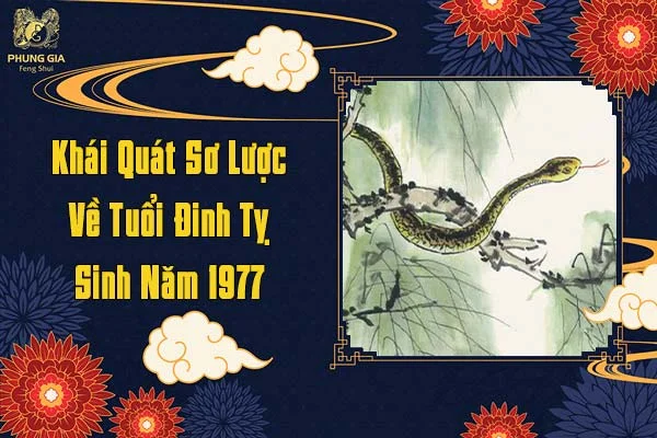 Khái Quát Sơ Lược Về Tuổi Đinh Tỵ