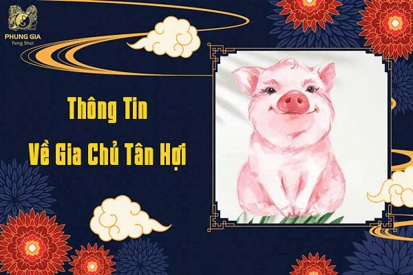 Thông Tin Về Gia Chủ Tuổi Tân Hợi