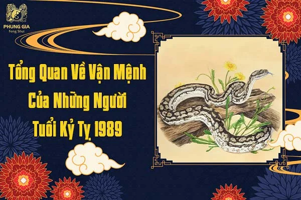 Tổng Quan Vận Mệnh Tuổi Kỷ Tỵ