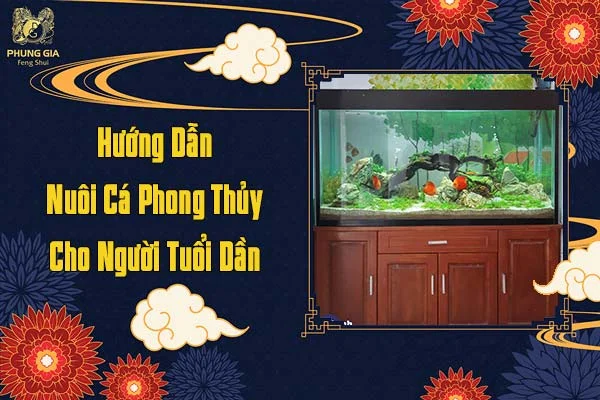 Hướng Dẫn Nuôi Cá Phong Thủy Cho Người Tuổi Dần