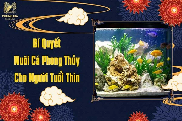 Bí Quyết Nuôi Cá Phong Thủy Cho Người Tuổi Thìn