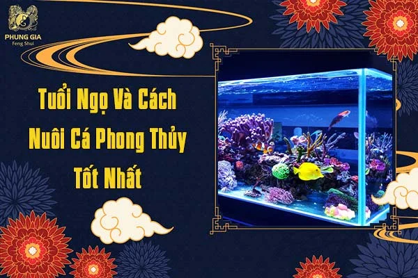 Tuổi Ngọ Và Cách Nuôi Cá Phong Thủy