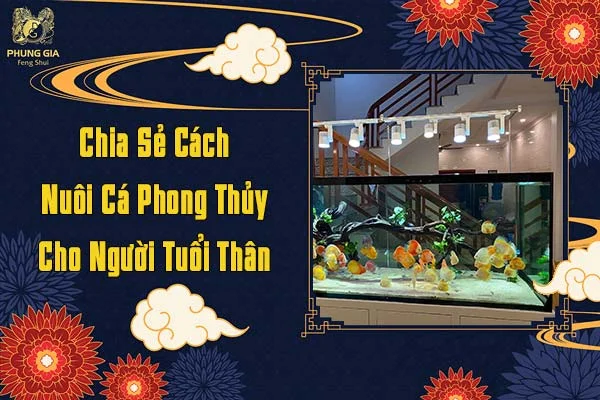 Chia Sẻ Cách Nuôi Cá Phong Thủy Cho Người Tuổi Thân