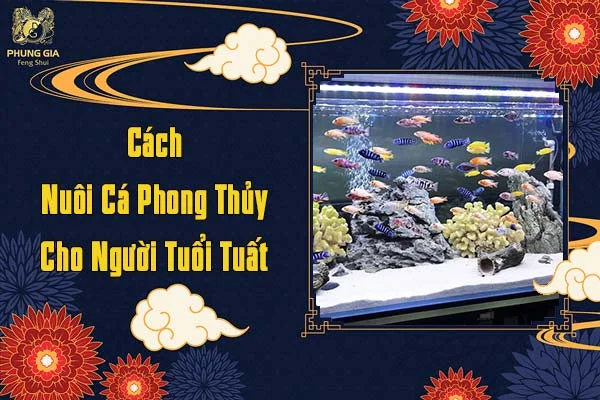 Cách Nuôi Cá Phong Thủy Cho Người Tuổi Tuất