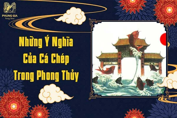 Những Ý Nghĩa Của Cá Chép Trong Phong Thủy