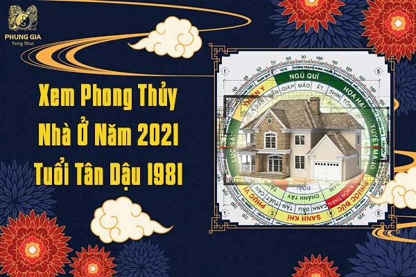 Xem Phong Thủy Nhà Ở Năm 2021 Tuổi Tân Dậu 1981